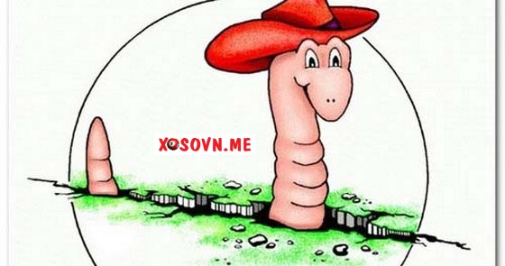 Mơ thấy giun - Giải mộng chiêm bao thấy giun đánh con gì?