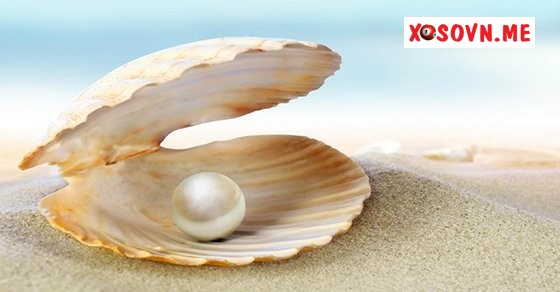 Mơ thấy ngọc - Giải mộng chiêm bao thấy ngọc đánh con gì?