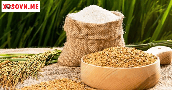 Mơ thấy thóc – Chiêm bao thấy thóc đánh con gì?