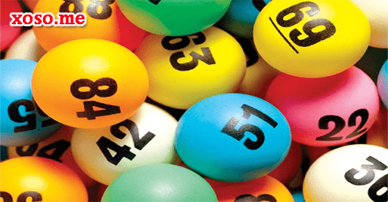 Giải mã giấc mơ thấy lợn - Số đề con lợn