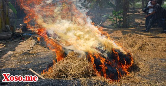 Mơ thấy cháy đống rơm