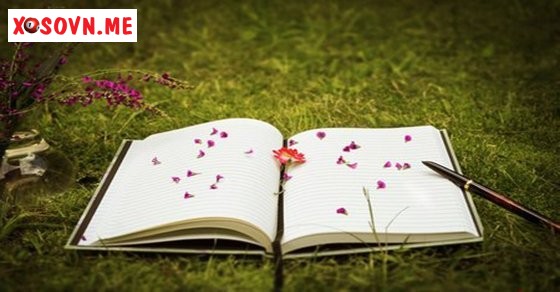 Mơ thấy quyển vở